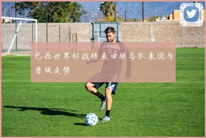巴西世界杯战绩表回顾各队表现与晋级走势