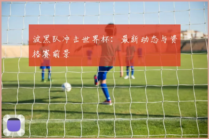波黑队冲击世界杯：最新动态与资格赛前景