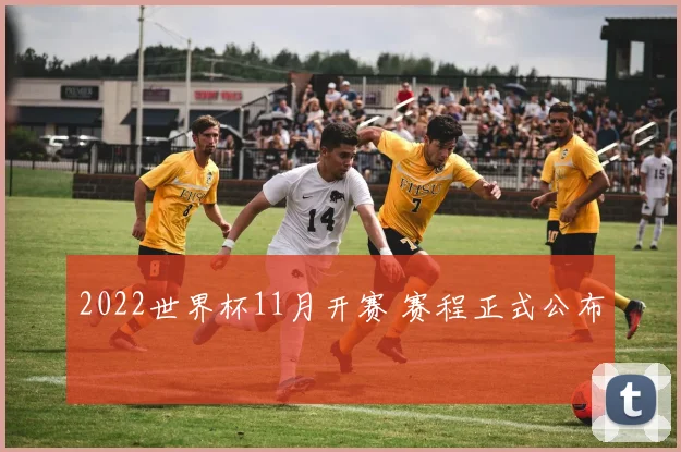 2022世界杯11月开赛 赛程正式公布